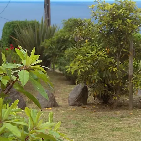 بيت للعطل Faial Cedros
